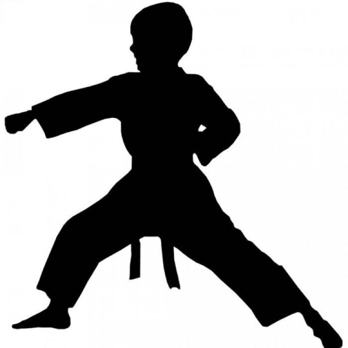 Potters Bar Karate & Kobudo Logo - Karate Girl Silhouette (700x700), Png Download