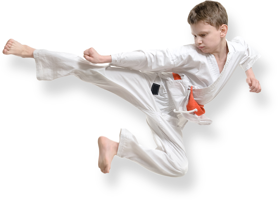 Ask About Karate Welcome - Karate Kid Png (1000x734), Png Download