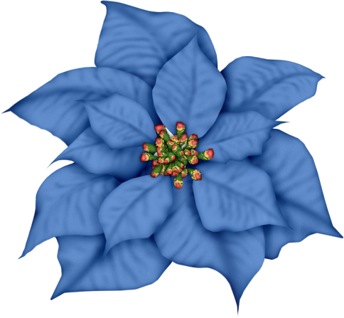 Frosty Days - Page - Blue Poinsettia Clipart (484x447), Png Download