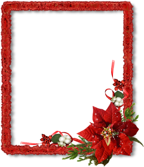 Christmas Flowers Poinsettia Frames - Christmas Paper Frames Png (600x668), Png Download