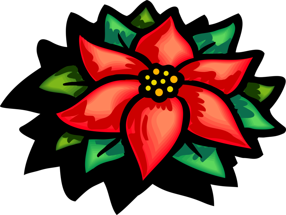 Vector Illustration Of Poinsettia Traditional Christmas - Legend Of The Poinsettia Pdf (931x700), Png Download