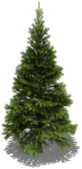 Preview - Artificial Fir Christmas Trees (263x540), Png Download