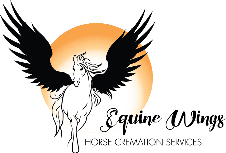 Equine Wings Logo - Wings Horse Logo (726x491), Png Download