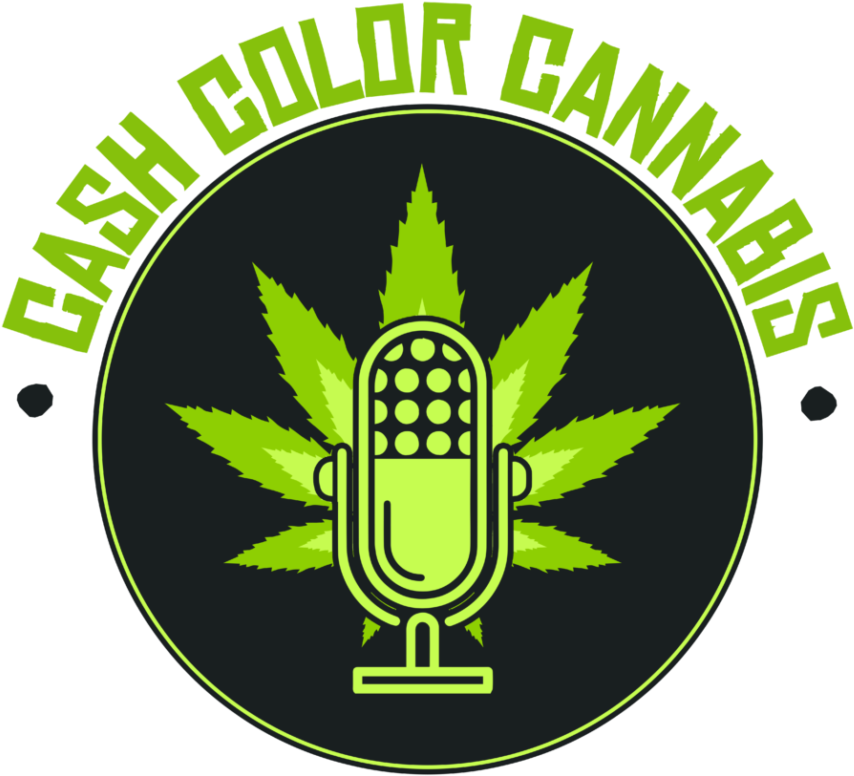 Robin Ann Morris With The Maryjane Agency Talks Ohio - Cash Color Cannabis (978x978), Png Download