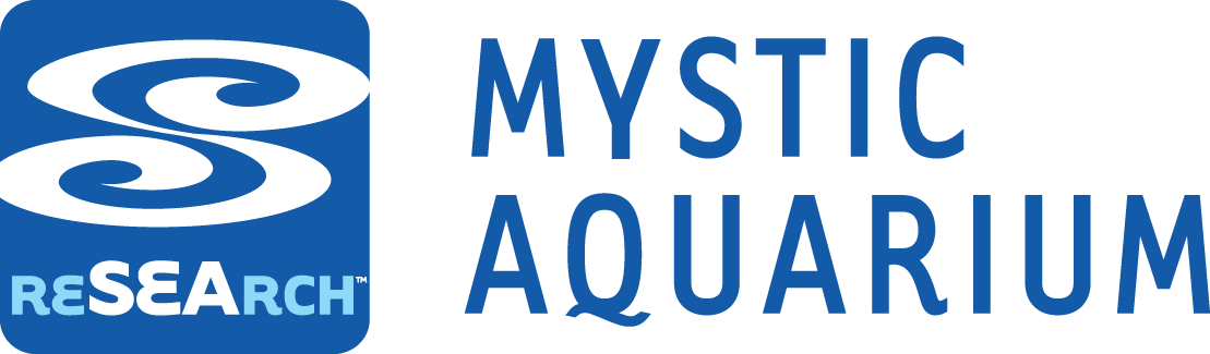 Mystic Aquarium Research Experiences For Undergraduates - Mystic Aquarium Logo (1109x325), Png Download