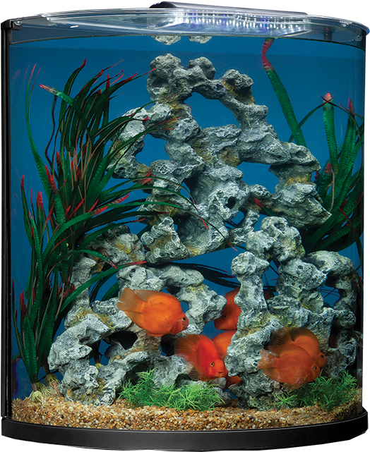 Product No - - Marineland 10 Gallon Half Moon Desktop Aquarium (640x640), Png Download
