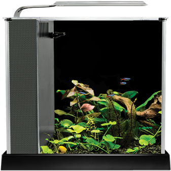 Anubias He Series Desktop Aquarium Kit - Led For Fluval Spec 3 (400x400), Png Download