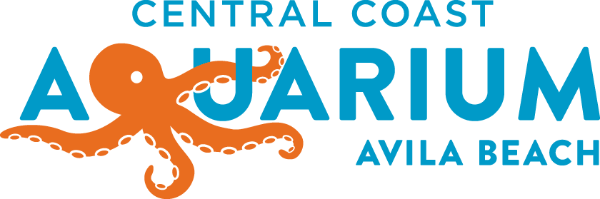 Central Coast Aquarium - Garden Of Beasts: A Novel Of Berlin 1936 (840x279), Png Download