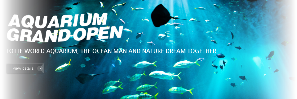 Aquarium Grand Open<br />lotte World Aquarium, The - Lotte World Aquarium (1280x380), Png Download
