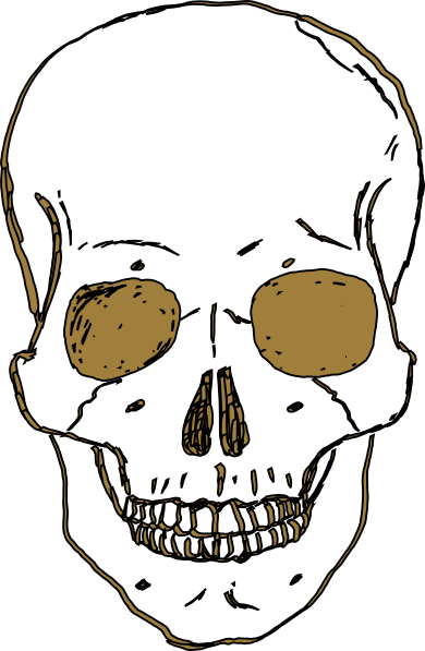 Gold Skull Clip Art - Skull Clipart (390x597), Png Download