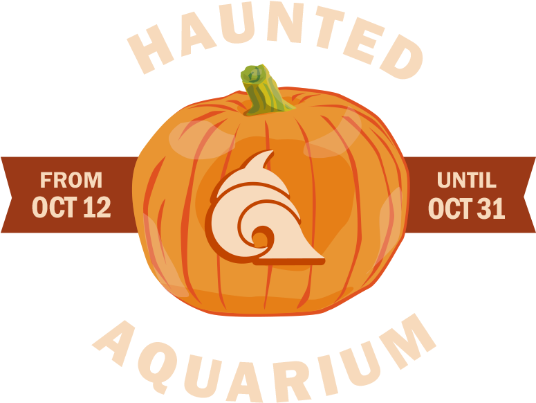 Visit Loveland Living Planet Aquarium October 12 31 - Snow Goggles (800x600), Png Download