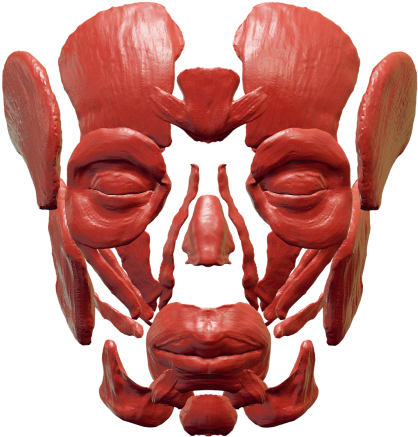 Skull,anatomy,skull And - Skull (500x500), Png Download