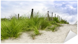 Sand Dune Png For Kids - Led-bild Sand Dune At (bht 50x125x5 Cm) (400x400), Png Download