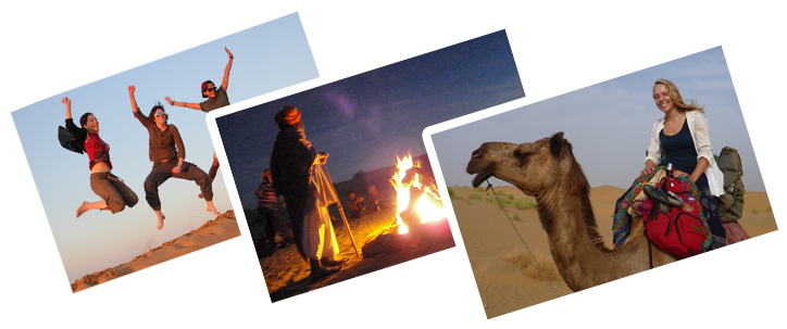 Please Note - Arabian Camel (726x330), Png Download