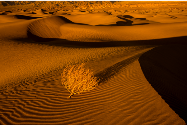 Oceans Of Sand - California (600x600), Png Download