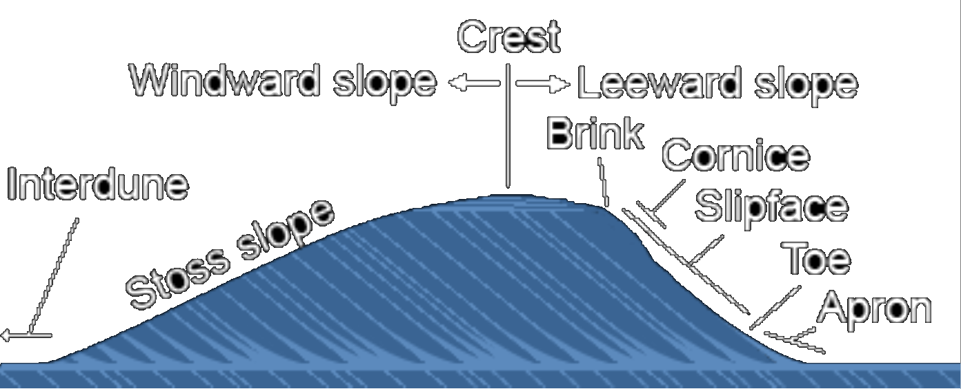 Cross Section Of Sand Dunes With Faces And Beds - Sand (1393x565), Png Download