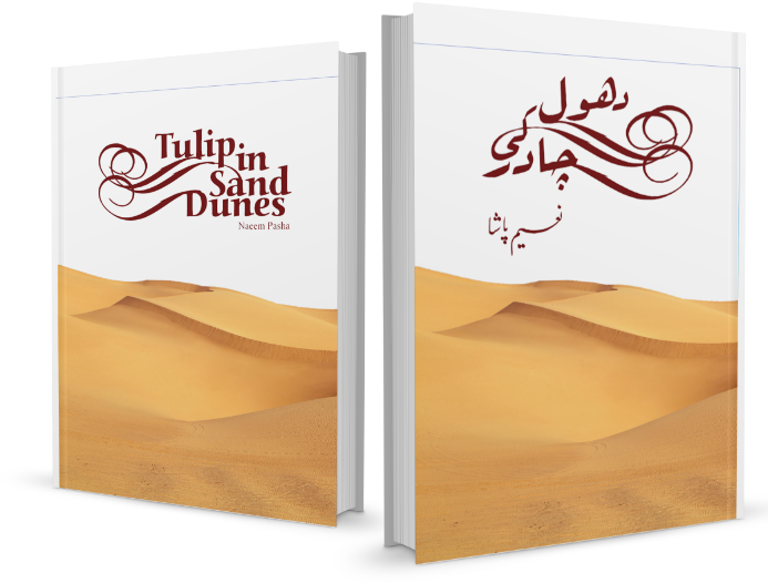 Poetry By Naeem Pasha - Book (692x541), Png Download