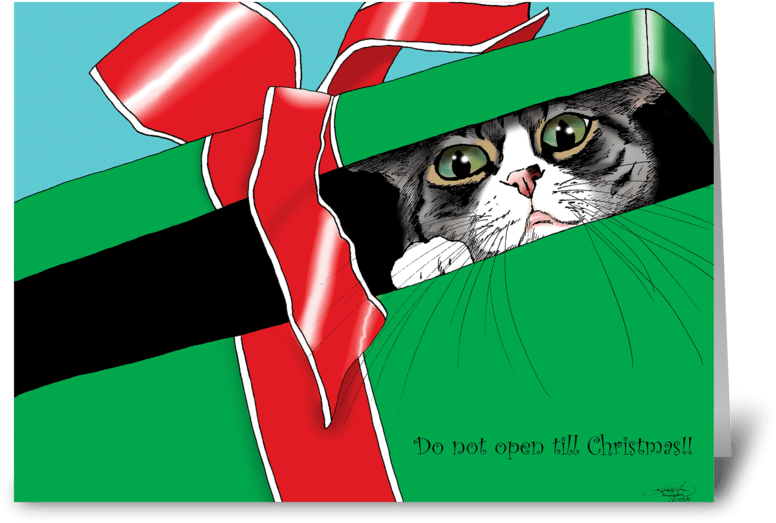 Do Not Open Till Christmas Greeting Card - Öffnen Sie Nicht Sich Bis Weihnachten Karte (848x698), Png Download