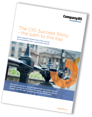 The Cio Success Story The Path To The Top - Flyer (311x393), Png Download