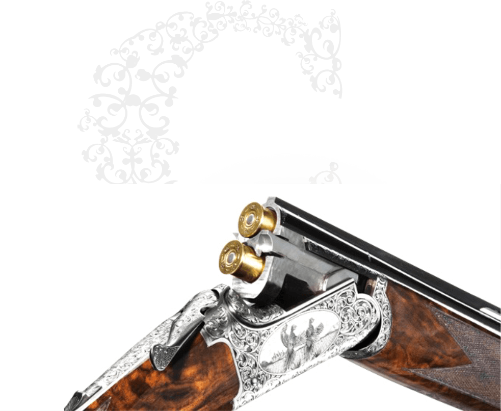 Revive Emotion - Chapuis Super Orion C 135 (983x806), Png Download