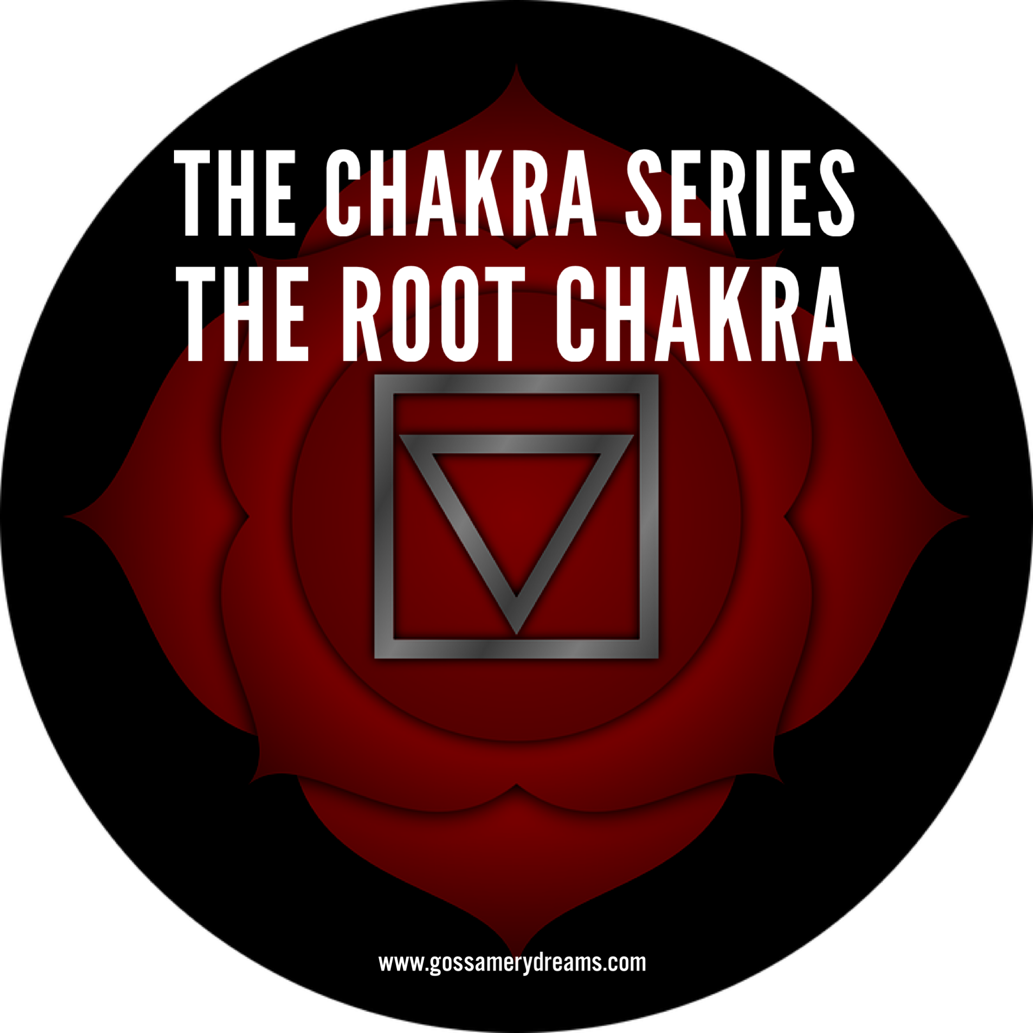 The Chakra Series-the Root Chakra - Geek Funny (2048x2048), Png Download