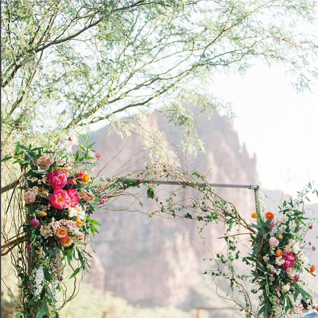 Ceremony // Arch Wedding Arbors, Ceremony Arch, Arches, - Rose (1536x2048), Png Download