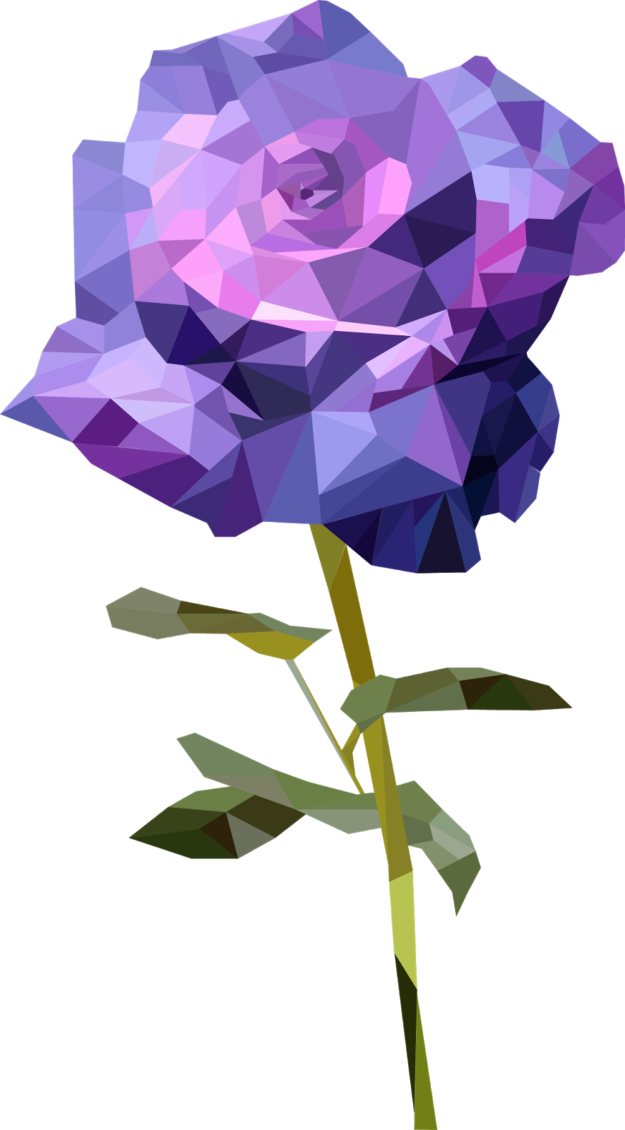 Lavender-rose - Garden Roses (885x1600), Png Download
