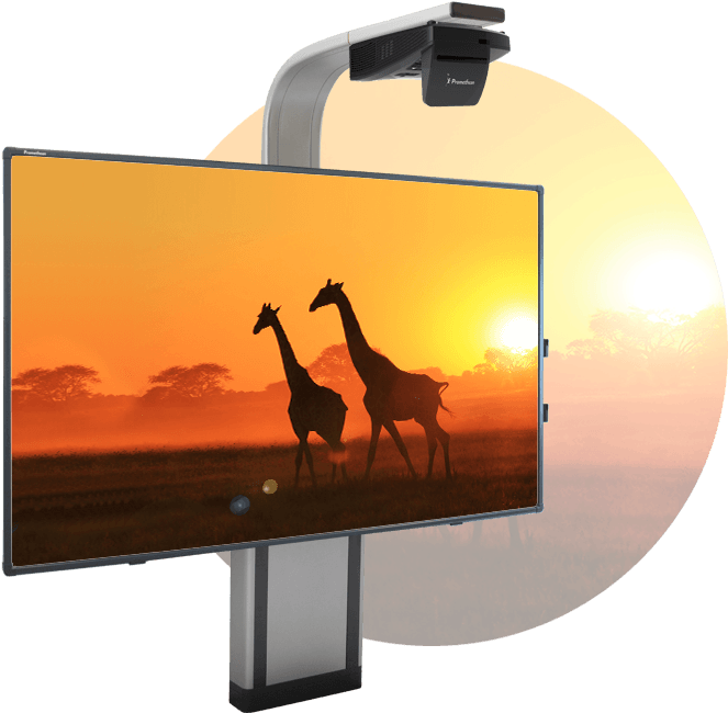 Activboard Touch Adjustable Wall Mount System - Wilderness Of Wildlife Tourism (838x667), Png Download