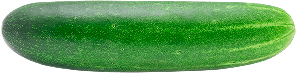 Pepino - Cucumber (600x600), Png Download