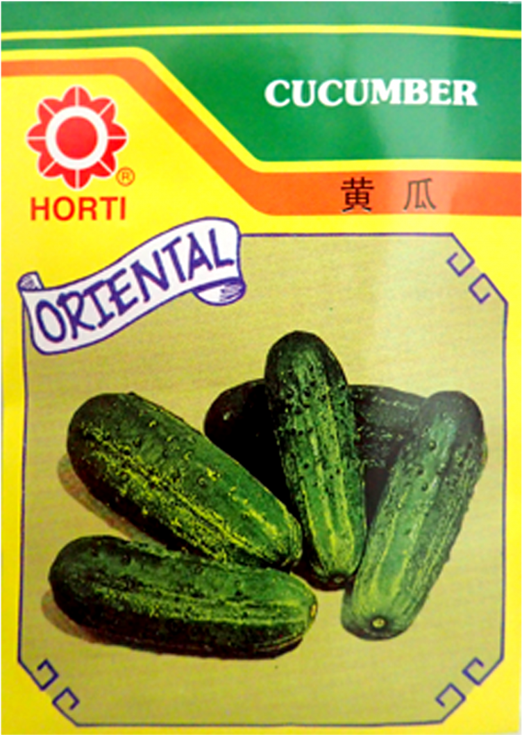 World Toilet Day (910x1155), Png Download