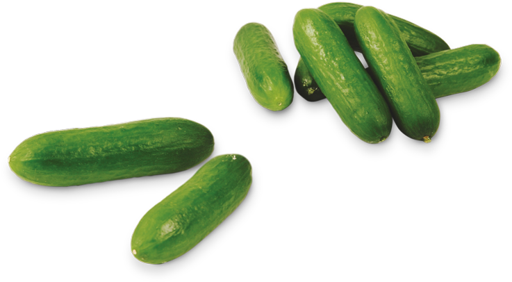 Pepino Para Snack - Kleine Komkommers (800x560), Png Download