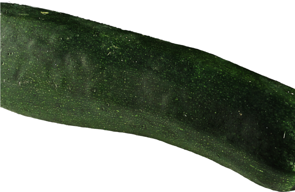 Zucchini Png Image2 - Zucchini (1024x768), Png Download