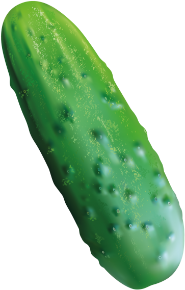 Cucumber - Curious Feast: 100 Postcards By 10 Artists (866x650), Png Download