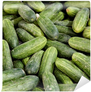 Pepino - Cucumber - Cetriolo - Gurke Wall Mural • Pixers® - Cucumber (400x400), Png Download