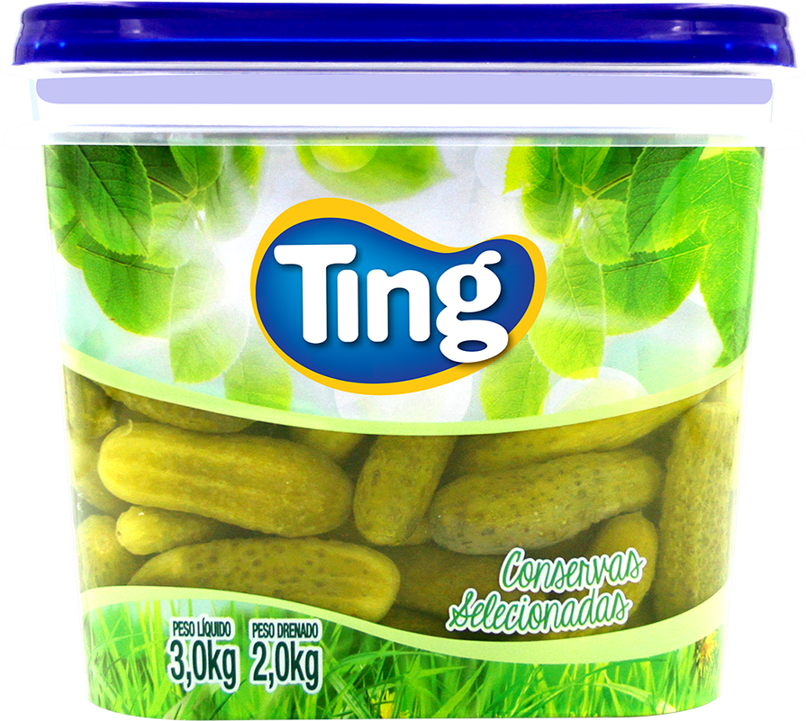 Pepino-2kg - Ting (1200x1000), Png Download
