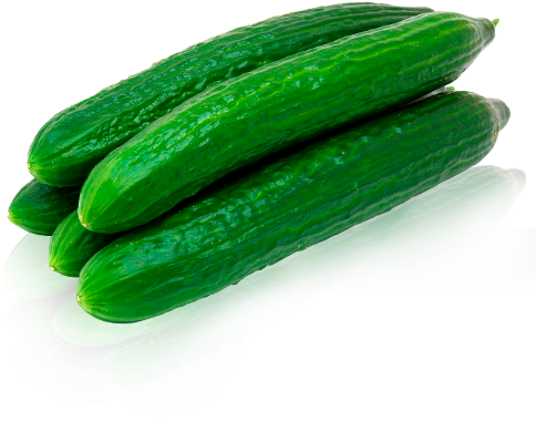Pepino Bio - Burpless #26 Hybrid Cucumber Seeds (500x500), Png Download