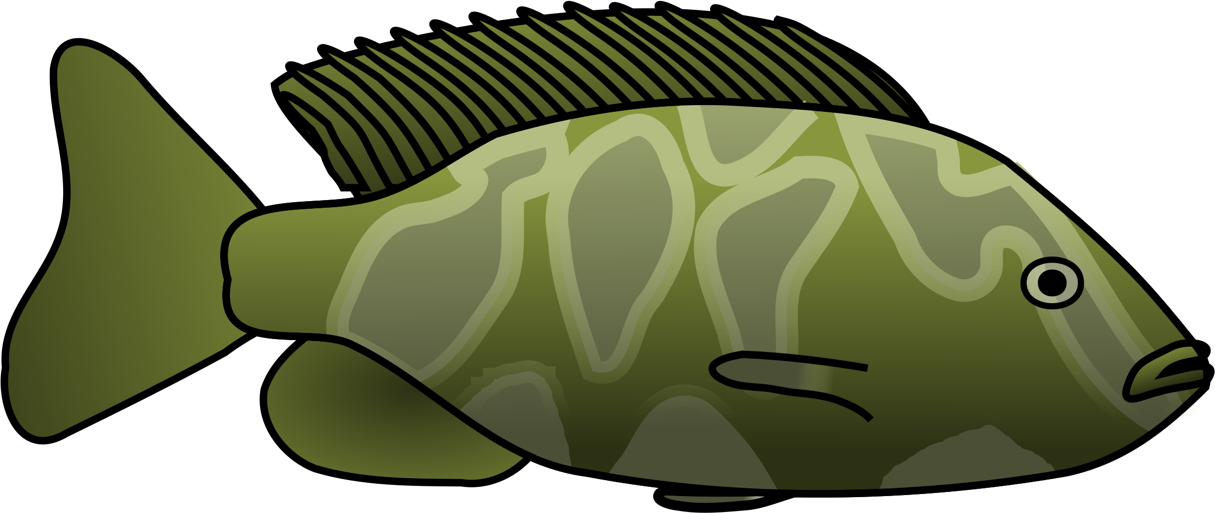 Big Image - Green Fish Clipart (2400x1200), Png Download