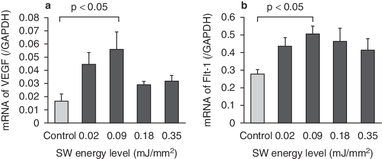 Effects Of Shock Wave Therapy On Mrna Expression In - Common Fig (786x327), Png Download