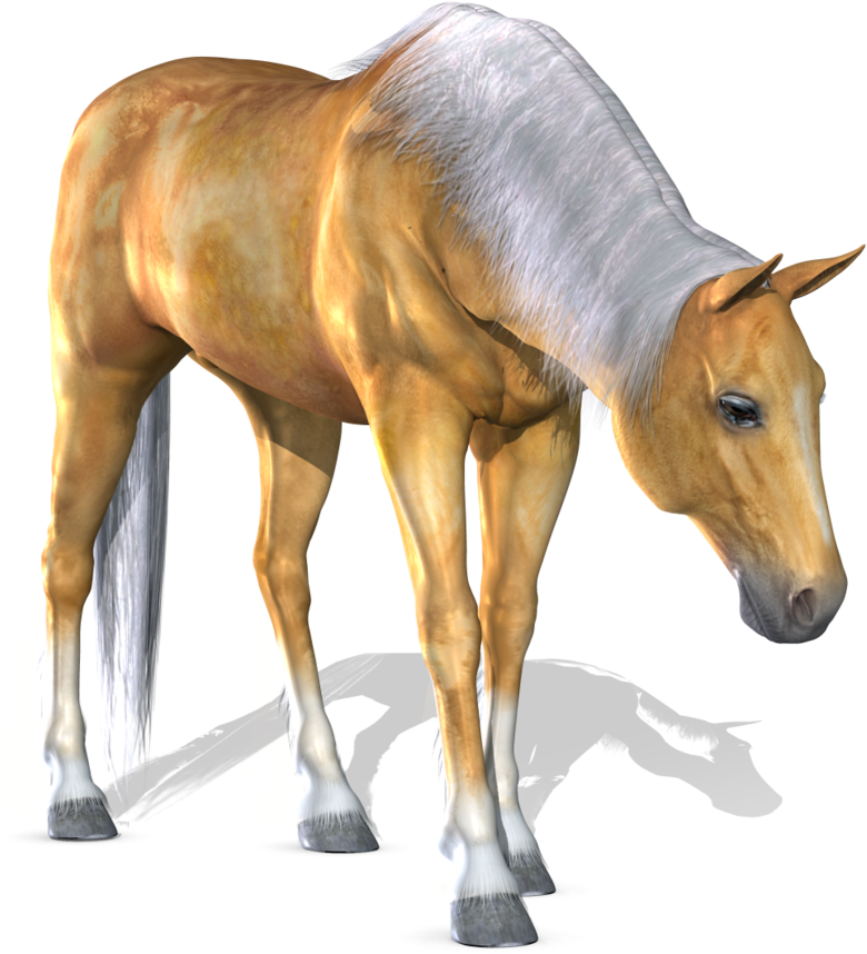 Horse Transparent Png Sticker - Horse 3d Png (900x972), Png Download