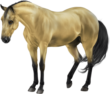 Equiverse Dark Grey (600x450), Png Download