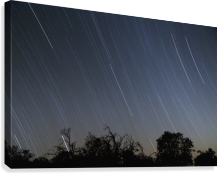 Star Trails In Night Sky Viewed From Mauna Kea With - Poster: Night Sky, 61x41in. (429x344), Png Download