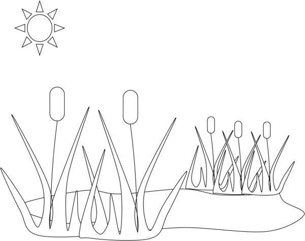 Clip Arts Related To - Ponds Habitat Worksheets For Grade 3 (600x475), Png Download