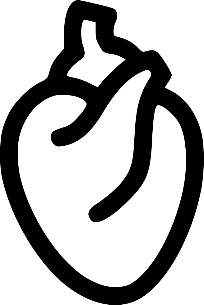 Heart Organ - - Heart Organ Icon Png (656x980), Png Download