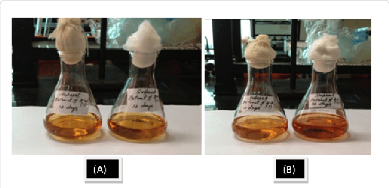 Pigment Extracts Of Broken Wheat For 12 Days - Cosmetics (768x372), Png Download