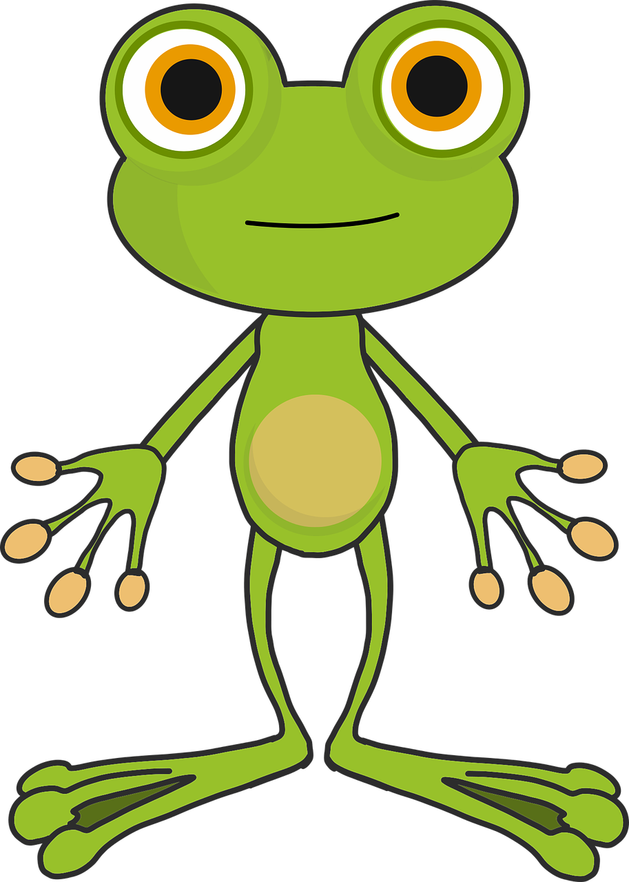 Frog Cartoon - Gambar Animasi Kodok (913x1280), Png Download