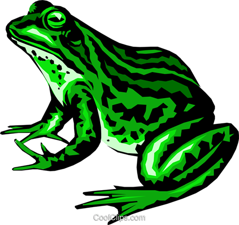 Frog Royalty Free Vector Clip Art Illustration - Frog Clipart (480x452), Png Download