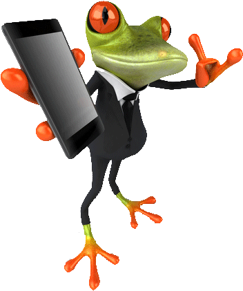 Contact Us Frogs - Red-eyed Tree Frog (387x450), Png Download