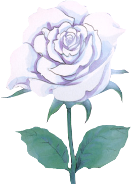 Rosa Blanca Render (447x363), Png Download