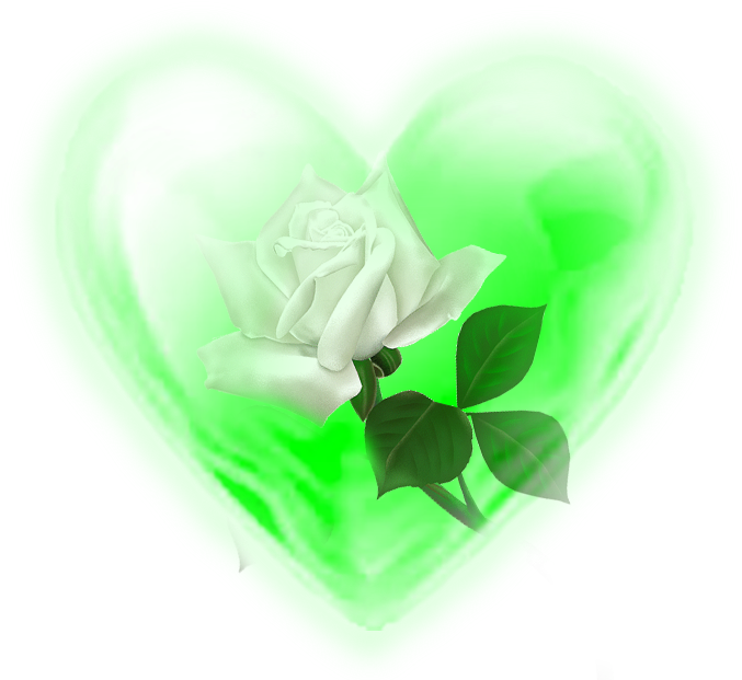 Rosa Blanca - Portable Network Graphics (686x639), Png Download