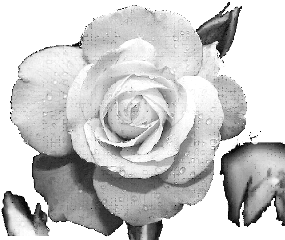 Pilar Roman Porras, Psicoterapeuta Gestalt Acreditada - Custom Crest Pp91c-5d 4 Color Process Sublimated Coolie (559x470), Png Download